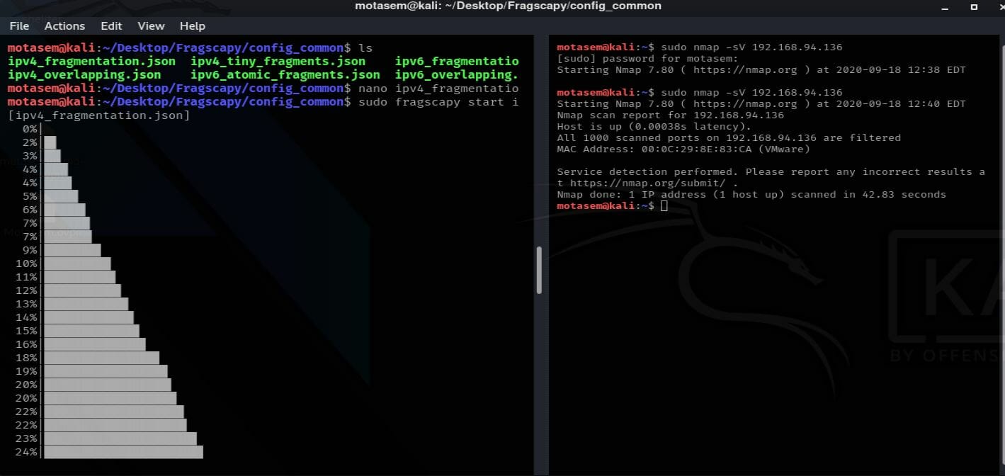 How to detect and evade firewall and Intruction Detection Systems - Fragscapy