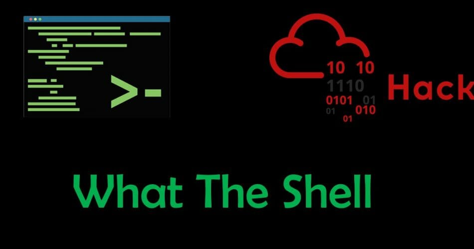 Reverse and Bind Shells Basics | TryHackMe What the Shell?