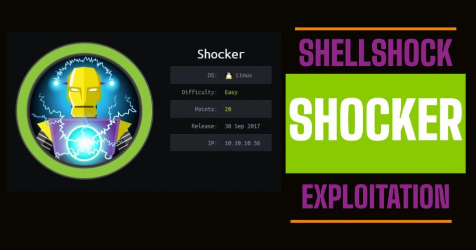 The ShellShock Vulnerability Explained | HackTheBox Shocker