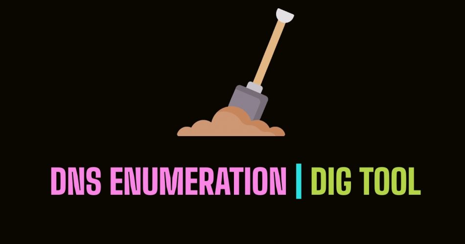 DNS Enumeration with DIG | TryHackMe Dig Dug