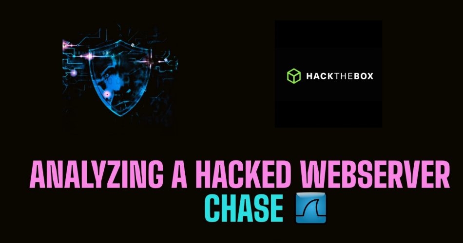 Analyzing a Hacked WebServer With Wireshark | HackTheBox Intro To Blue Team | Chase