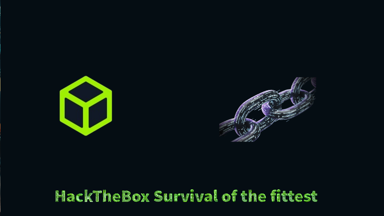 Blockchain Penetration Testing P1 | HackTheBox Survival Of The Fittest