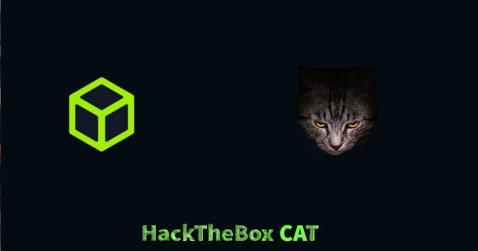 Android Forensics | Mobile Forensics | HackTheBox Cat