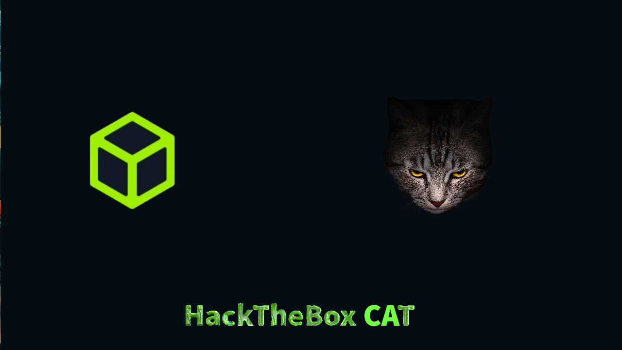 Android Forensics | Mobile Forensics | HackTheBox Cat