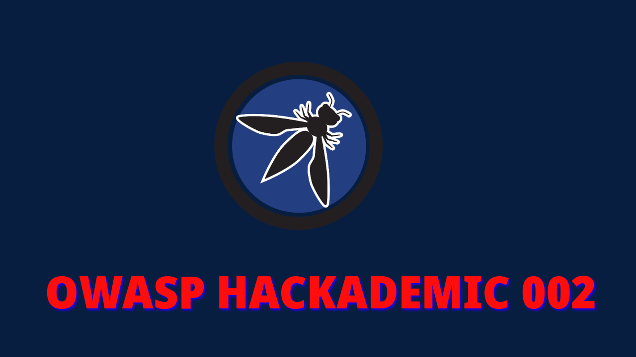Playing with Javascript Methods | OWASP Hackademic | Challenge 002
