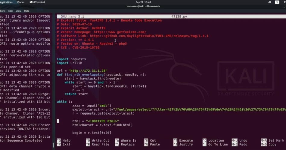How To Modify Python Exploits Like a Developer | Cyberseclabs Fuel Walkthrough