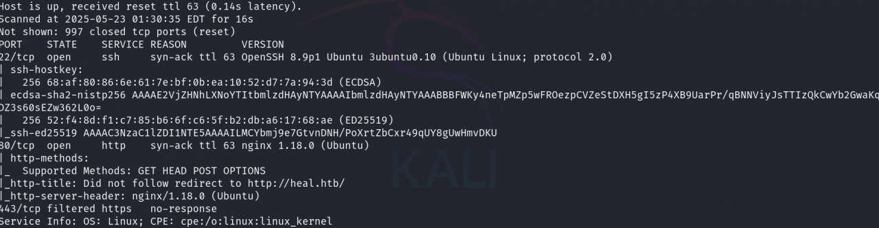 HackTheBox Heal Writeup & Walkthrough
